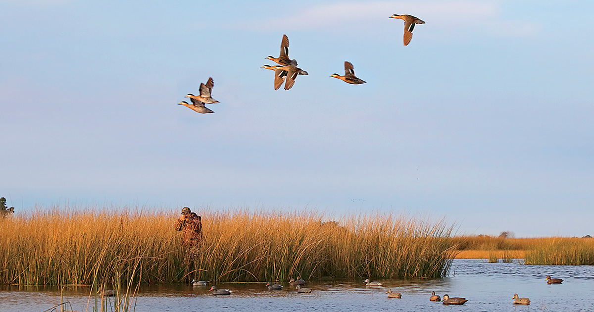 Waterfowler hunting silver teal. Photo by GaryKramer.net
